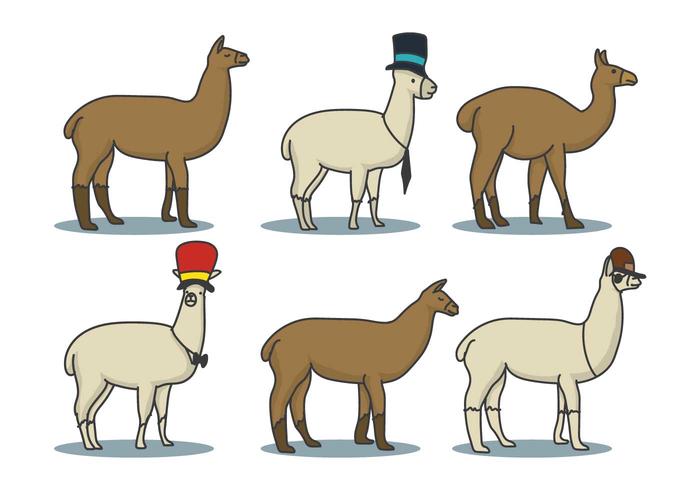 Llama Hand Drawn Illustration Set Llama Hand Drawn Illustration Set