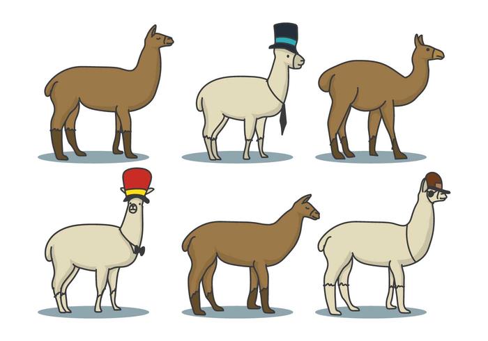 Llama Hand Drawn Illustration Set vector