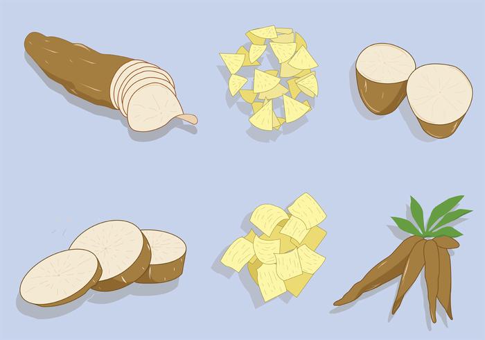 La yuca Vector Pack