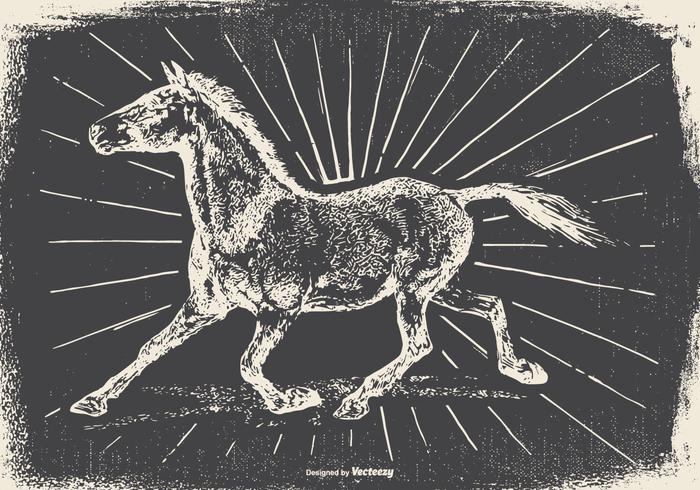 Vintage Horse Illustration Vintage Horse Illustration