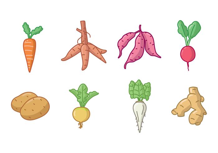 Handdrawn Root and Tuber Crops Icon Set vector