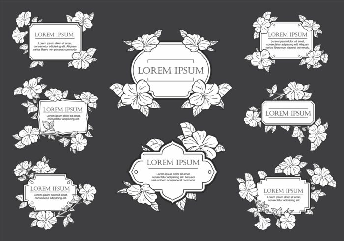 Petunia Flowers Frame Vector