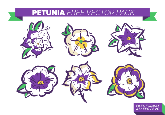 Petunia Free Vector Pack Petunia Free Vector Pack