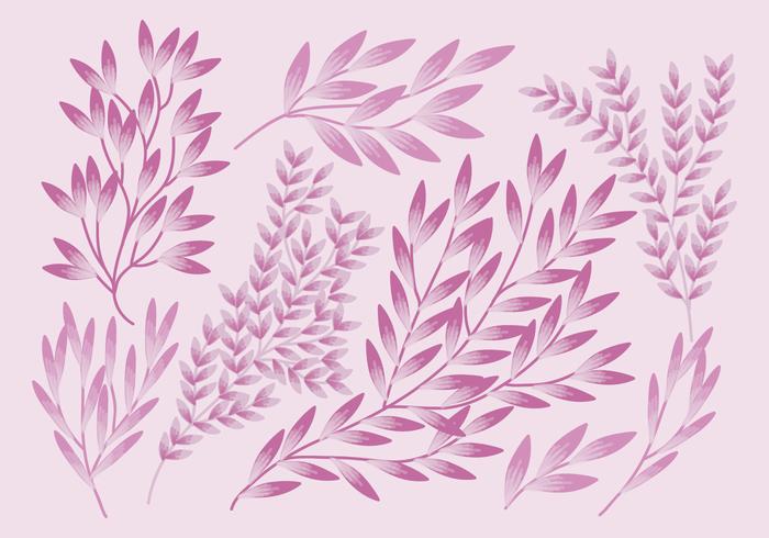 Vector Set of Branches