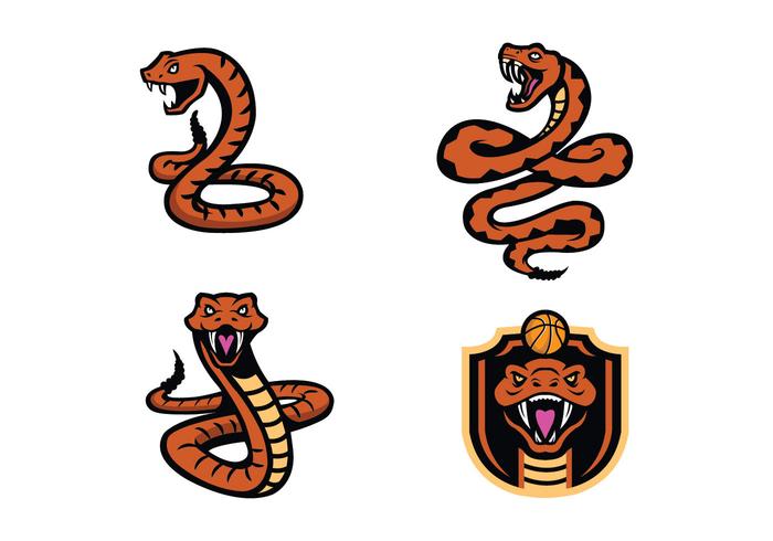 Vector libre de la mascota de la serpiente Rattlers