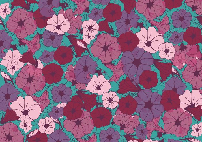 Petunia Flowers Vector