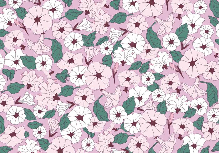 Petunia Pink Flowers Vector Petunia Pink Flowers Vector