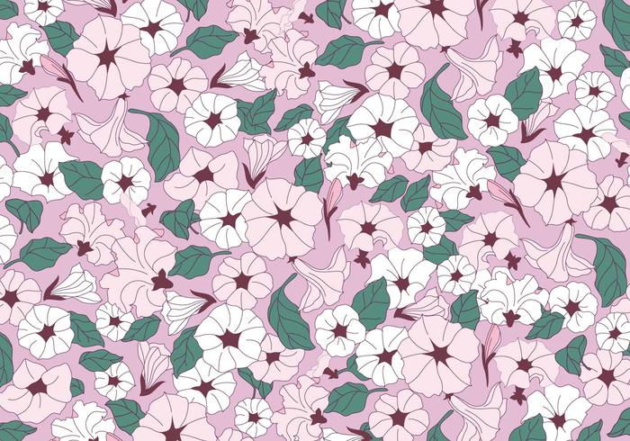 Petunia Pink Flowers Vector