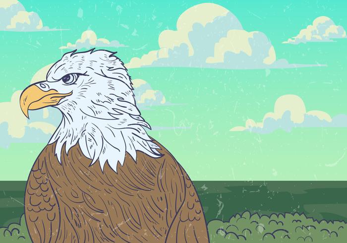 Wild Eagle Vector Background