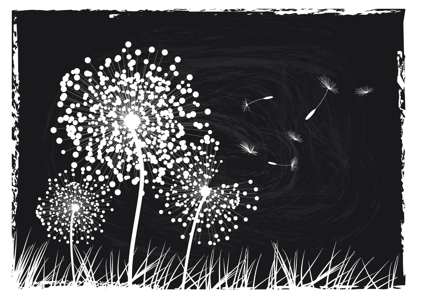  Black  And White  Dandelion Background  Download Free 