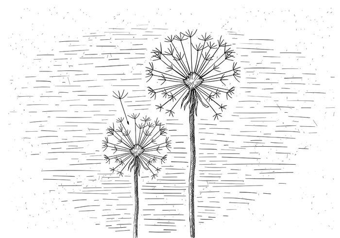 Free Vector Flower Illustration