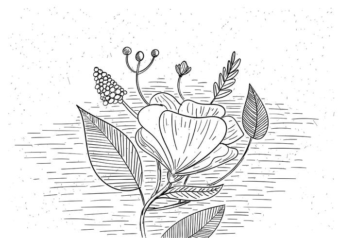 Free Flower Vector Free Flower Vector