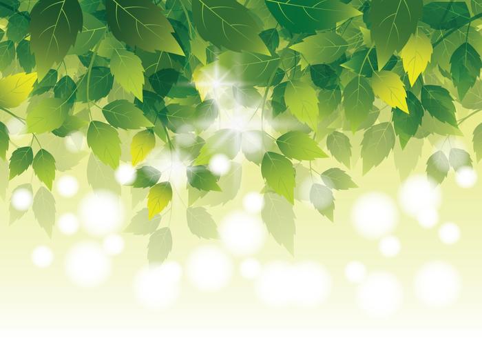 Natural Green Leaves Background vector