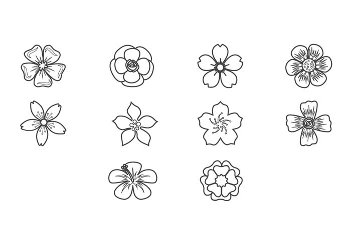 Free Plum Blossom Icon Vector Free Plum Blossom Icon Vector