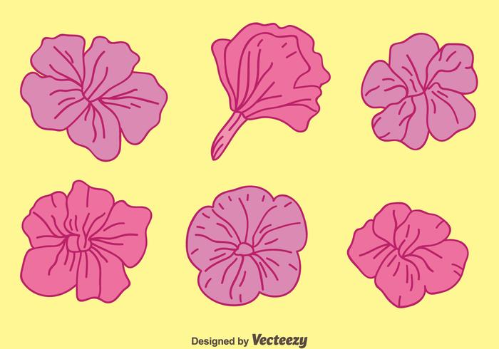 Purple Petunia Flowers Vectors Purple Petunia Flowers Vectors