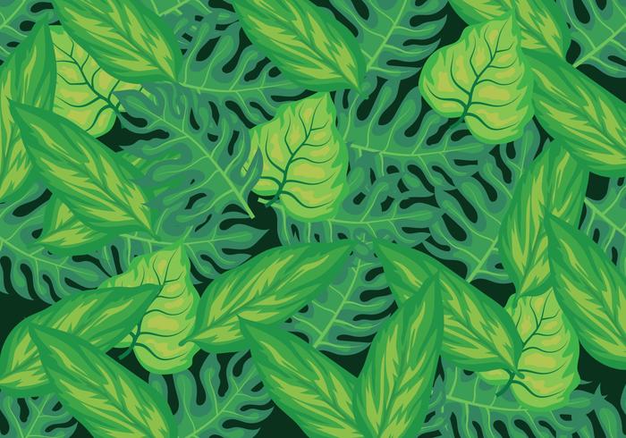 Tropical Leaves Background vector