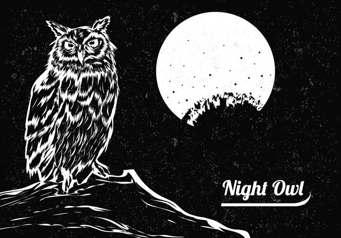 Disegnato A Mano Di Gufo In Bianco E Nero Con La Luna