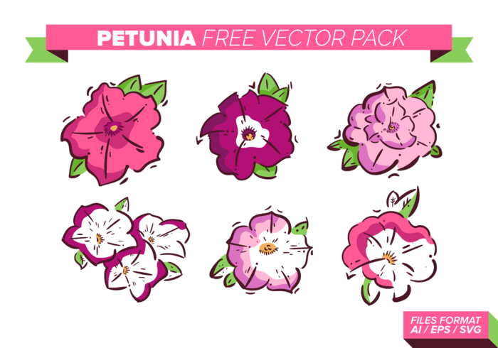 Petunia Free Vector Pack Petunia Free Vector Pack
