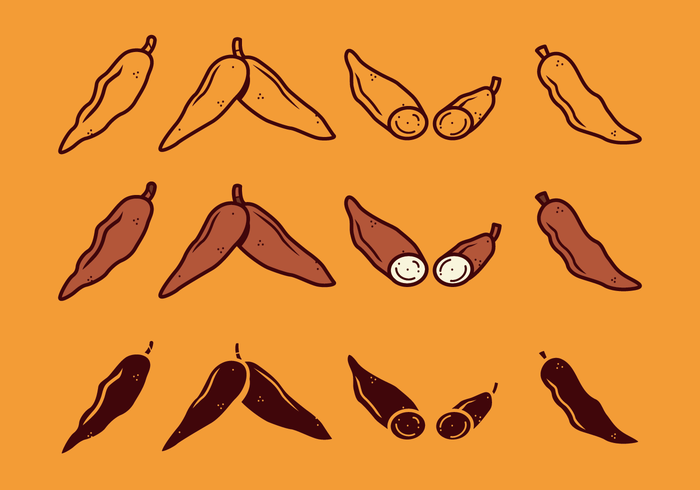 Free Cassava Vector Free Cassava Vector