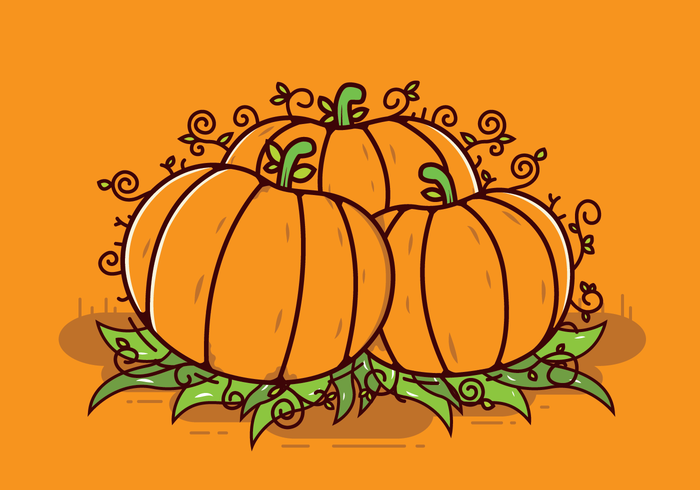 Free Pumpkin Patch Vector