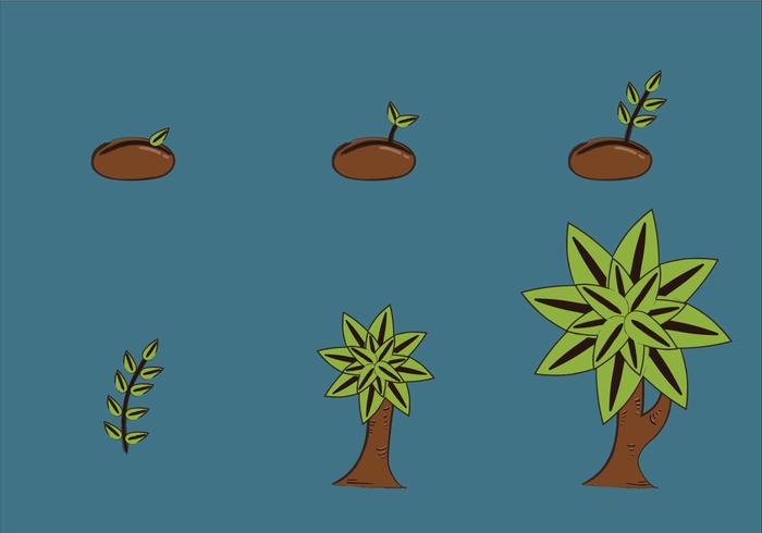 Libre Ciclo del crecimiento vegetal ilustración vectorial vector