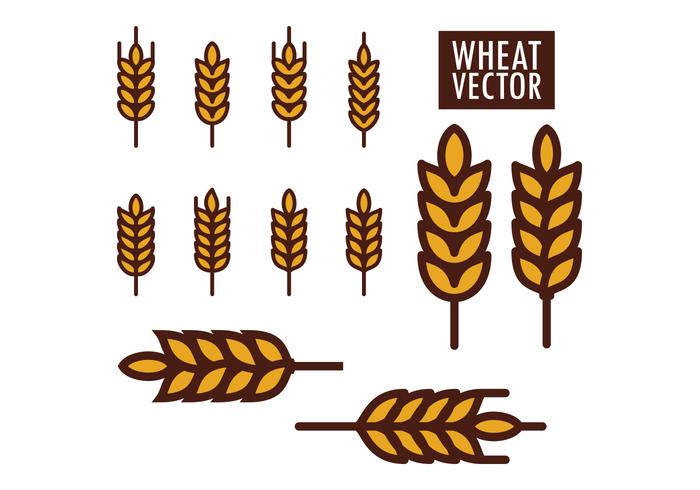 Wheat Vectors