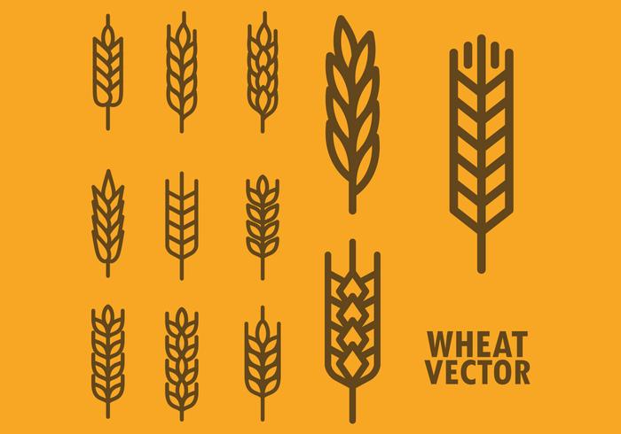 Wheat Vector Icons