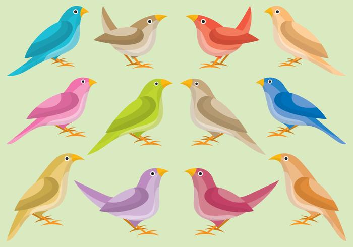 Colorful Nightingale vector