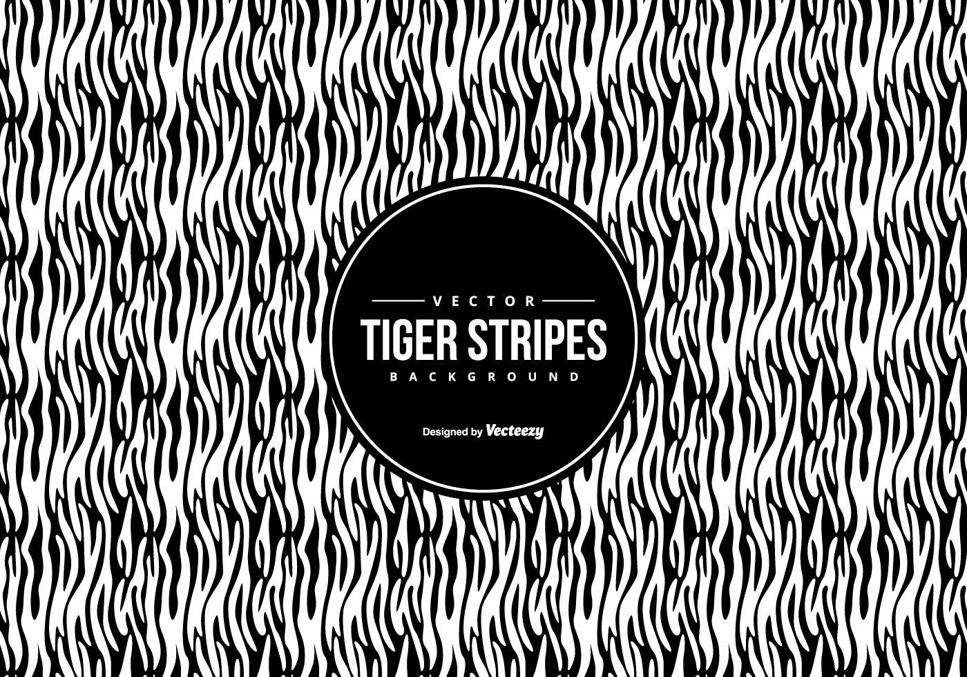 Black And White Backgrounds 38280 Free Downloads