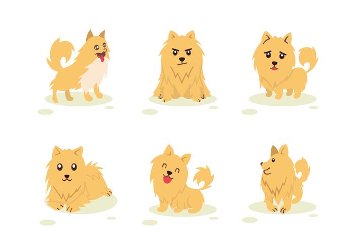 Pomeranian Dog Character Pose Vector