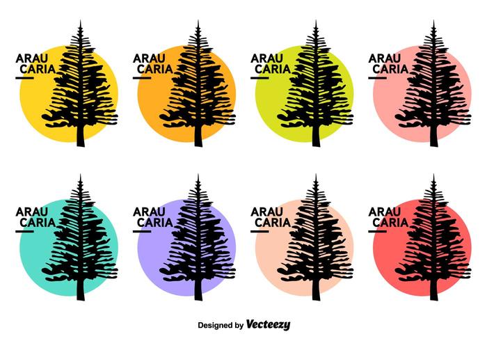 Araucaria iconos vectoriales vector