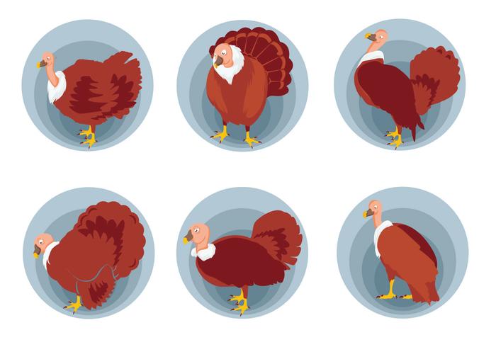 Wild turkey pose vector illustration