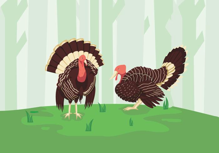 Pavo salvaje ilustración bosque verde vector