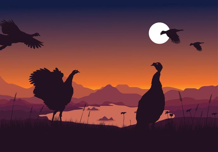 Wild Turkey Night Free Vector