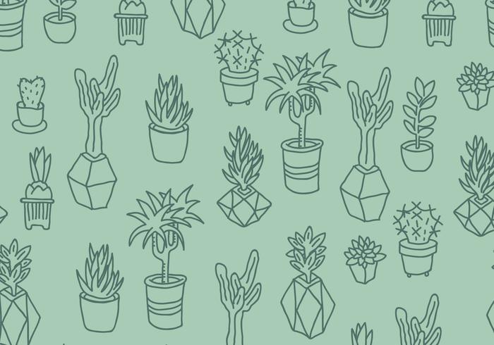 Green Cactus and Succulents Pattern vector