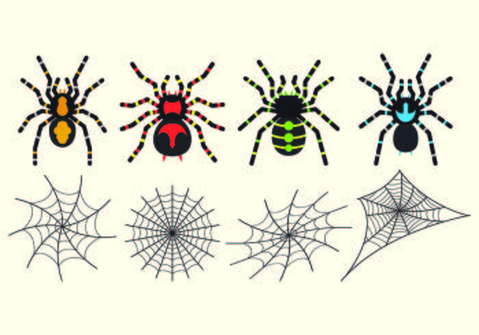 Set Of Tarantuala Vectors Set Of Tarantuala Vectors