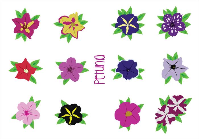 Bright Flower Vectors