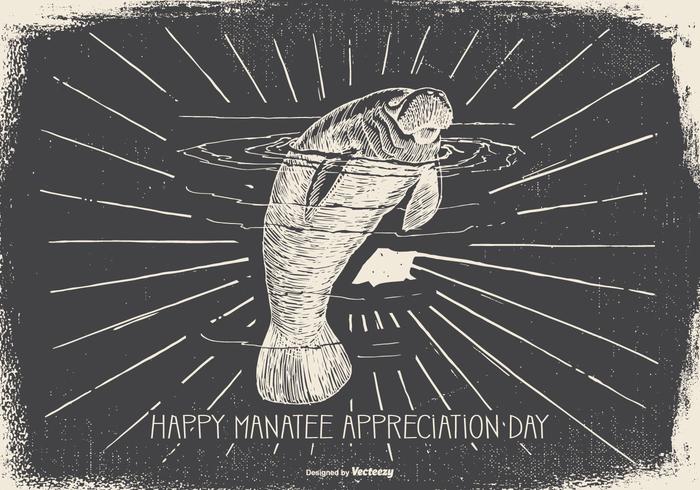 Vintage Manatee Appreciation Day Illustration Vintage Manatee Appreciation Day Illustration