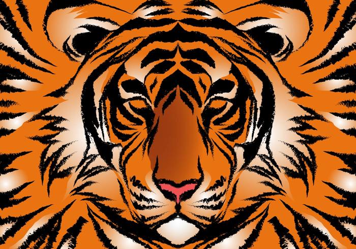 Rayas del tigre de Bengala vectorial vector