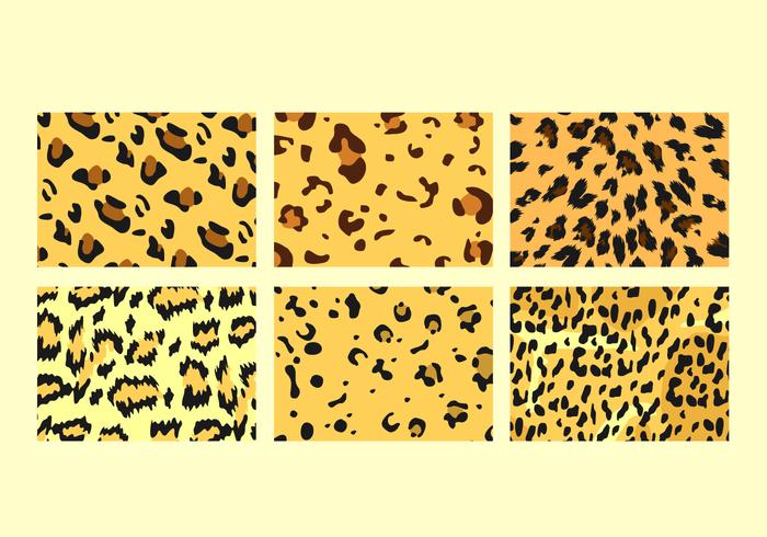 Vectores del modelo del leopardo libre