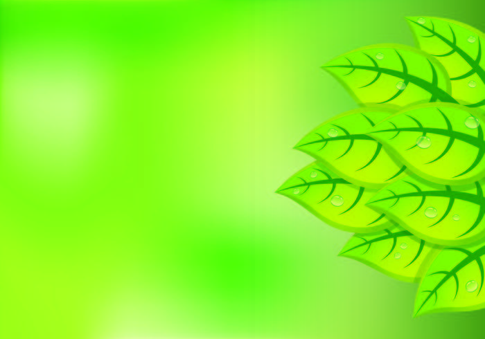 Background Of Natural Green Leaves  vector