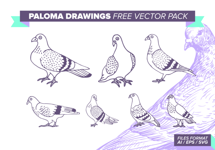 Paloma Drawings Free Vector Pack Paloma Drawings Free Vector Pack