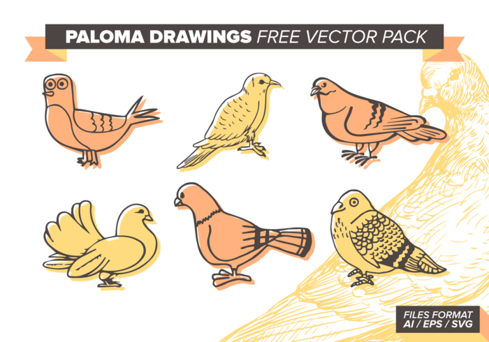 Paloma Drawings Free Vector Pack Paloma Drawings Free Vector Pack