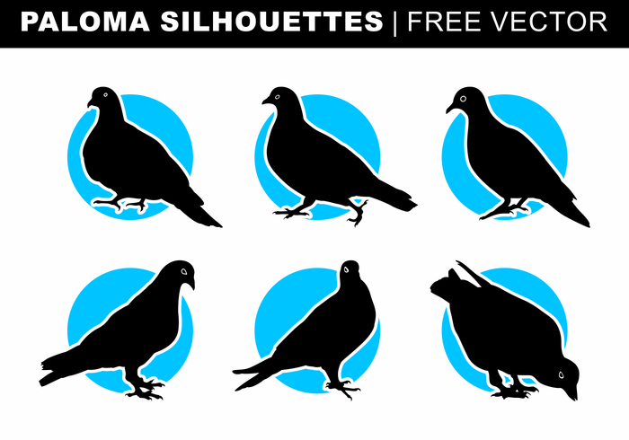 Paloma Silhouettes Free Vector