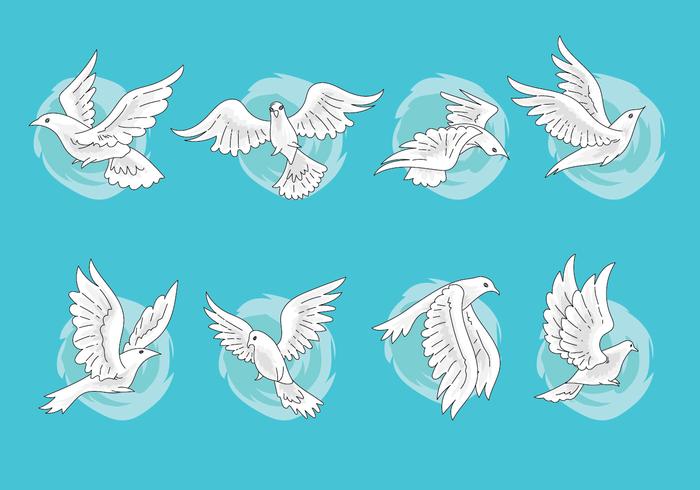 Set of Paloma or Dove Vectors with Hand Drawn Style