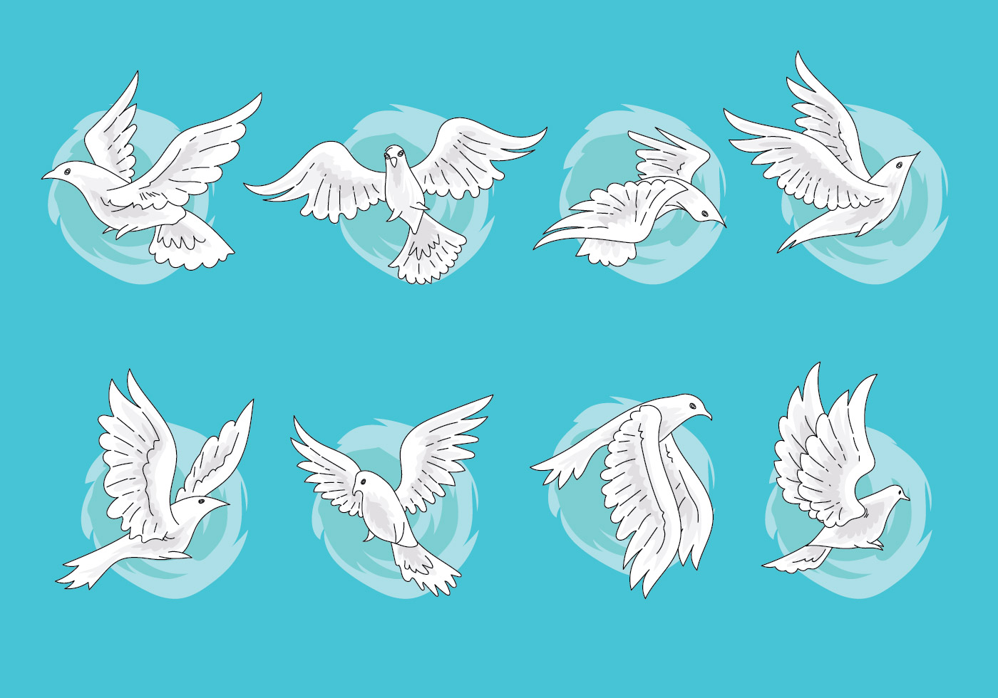 Set of Paloma or Dove Vectors with Hand Drawn Style 142931