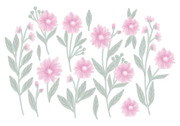 Vector Hand Drawn Floral Compositions