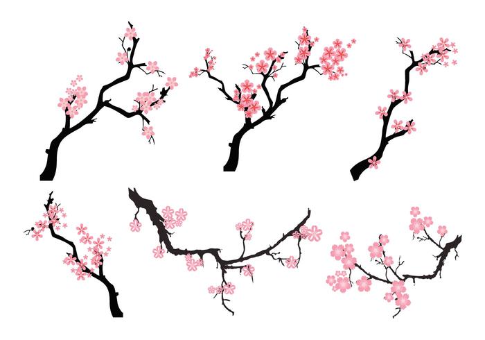 Peach Blossom Tree Vector