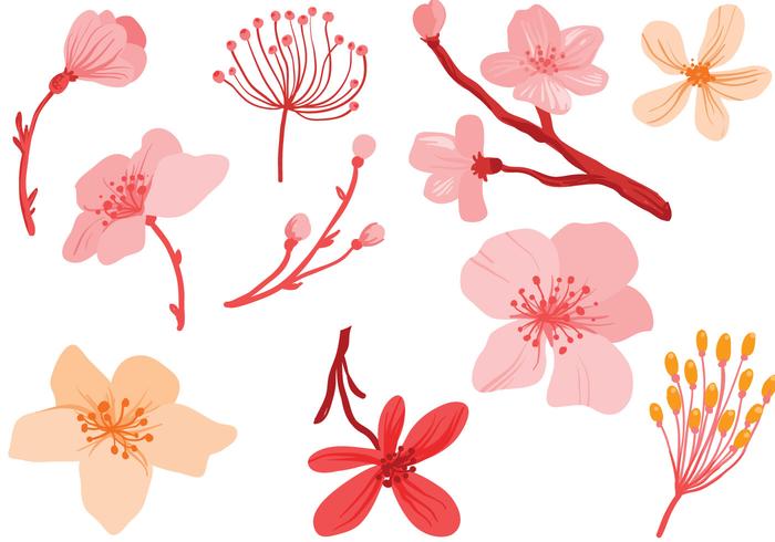 Free Pink Flowers Vectors