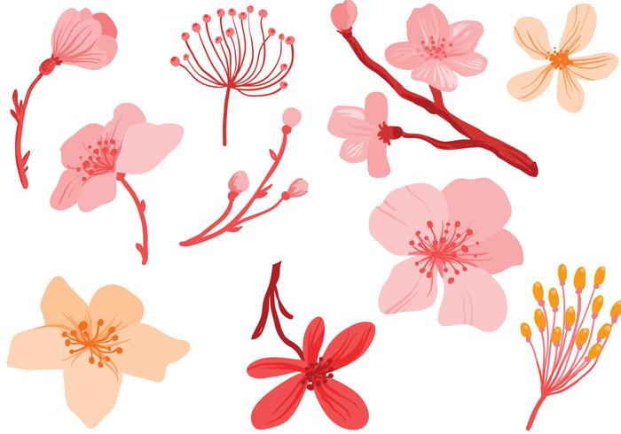 Free Pink Flowers Vectors Free Pink Flowers Vectors